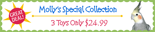 Molly's Special Collection! 3 Best selling toys only $19.99!
