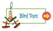 Bird Toys & Accessories